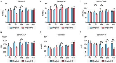 Sevelamer Attenuates Bioprosthetic Heart Valve Calcification